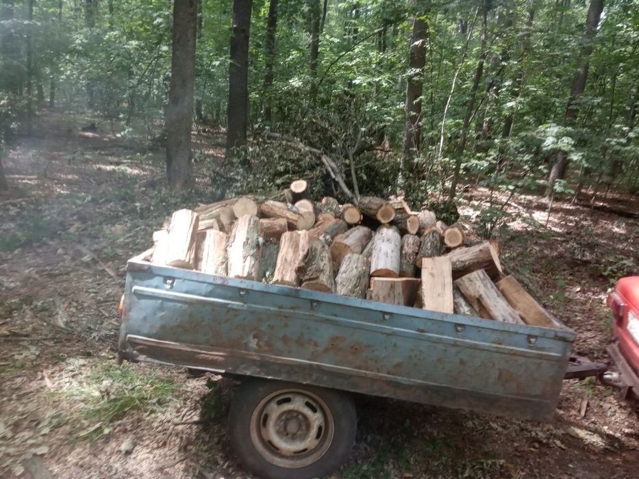 Дрова дуб граб безкоштовна доставка від 1.5 складометра