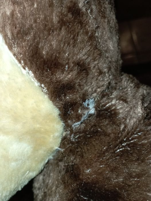 Miś trociniak PRL ,