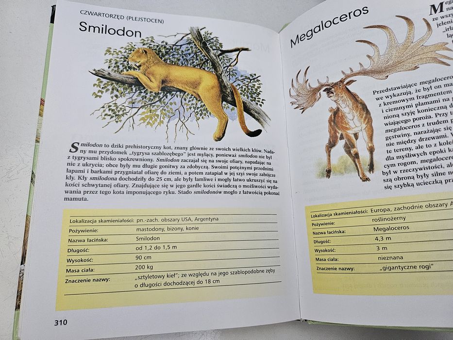Dinozaury, przewodnik eksperta