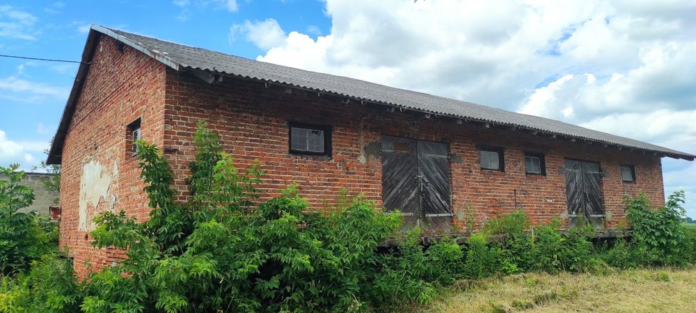 Działka ok. 1 ha z magazynem – Jakubowice, gm. Ożarów - Widok 3