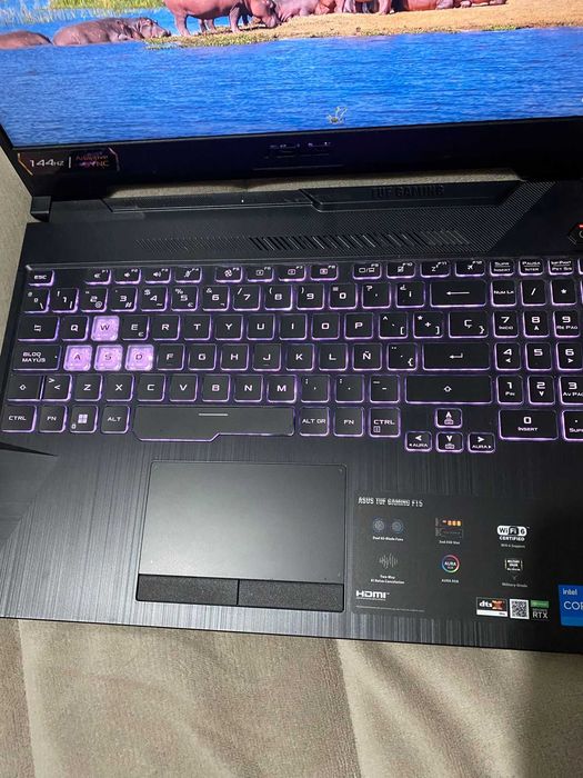 Portátil Asus TUF F15