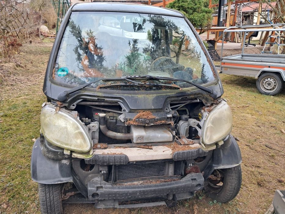 Szyba czolowa smart fortwo