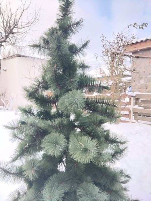 Новорічна ялинка