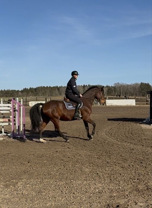 Klacz - wszechstronna