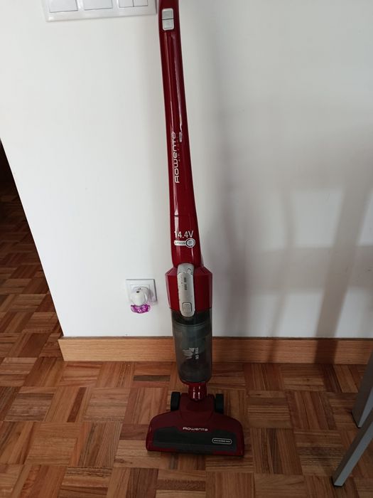 Aspirador vertical Rowenta