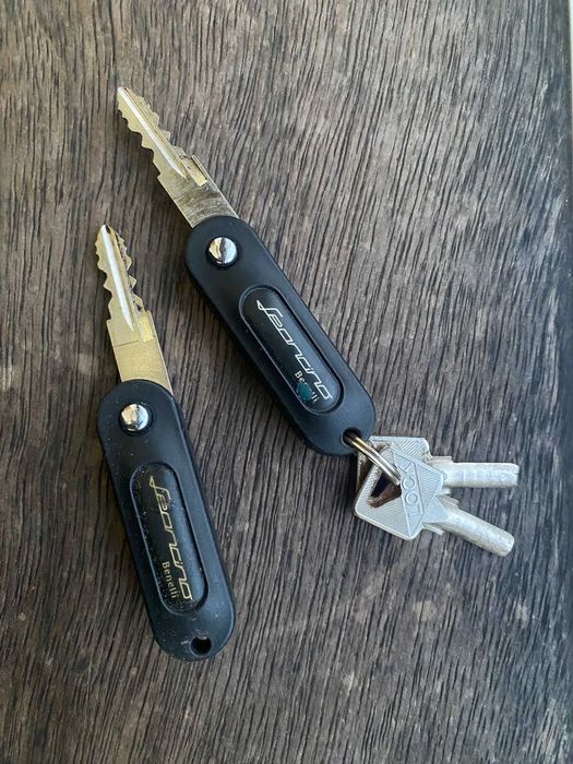 Benelli Leoncino 500