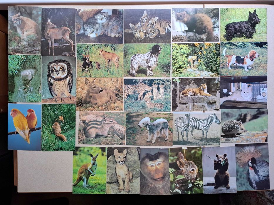 Открытки разные. Новые.