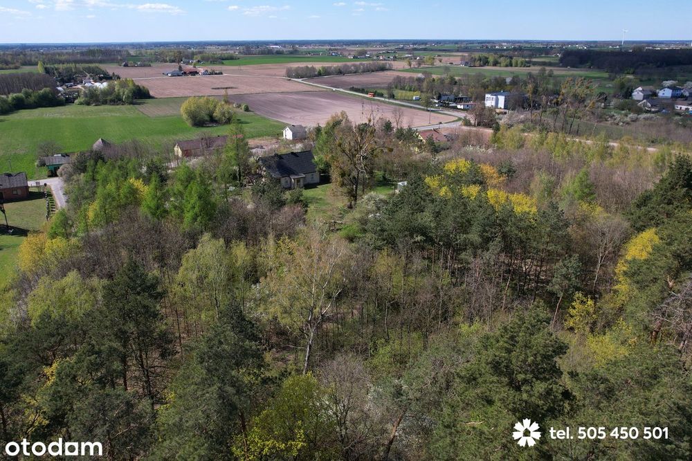 Domek w lesie - leśniczówka blisko natury (zabudowa bliźniacza)