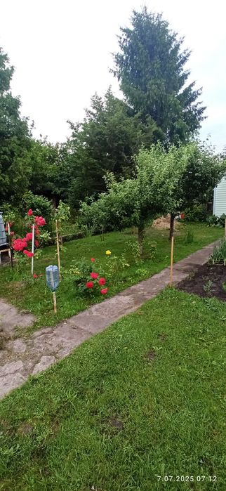 Działka rekreacyjna ROD