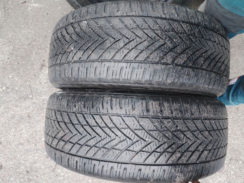 Opony wielosezonowe 225/55/17