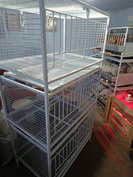 Клітка для несучок