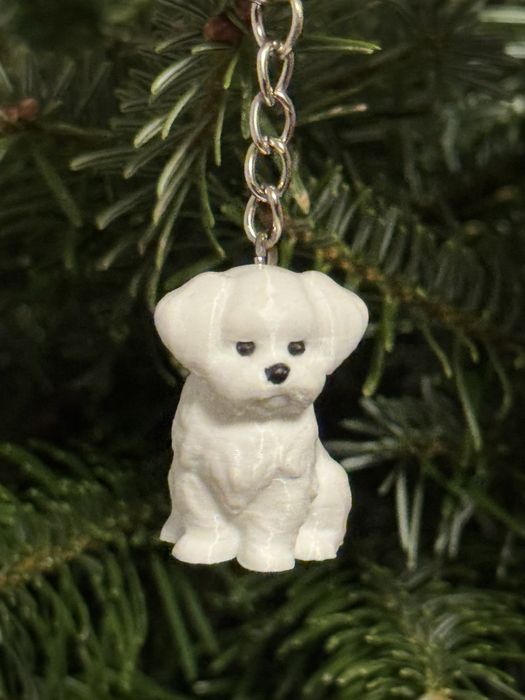 3D друк у Львові