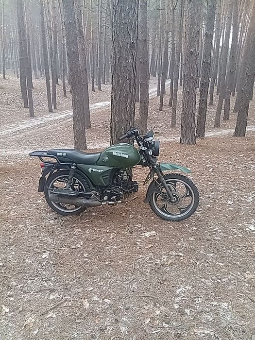 Мустанг  1258766777