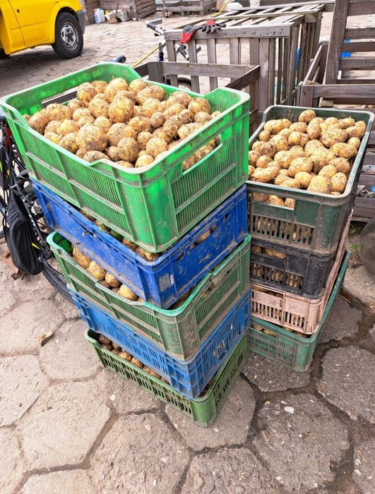Ziemniaki od rolnika