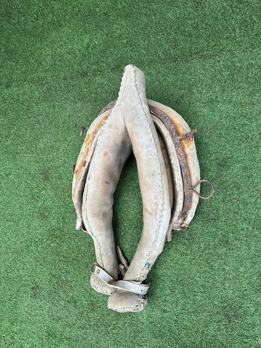 Jugo antigo, canga ou Coelheira para bovino