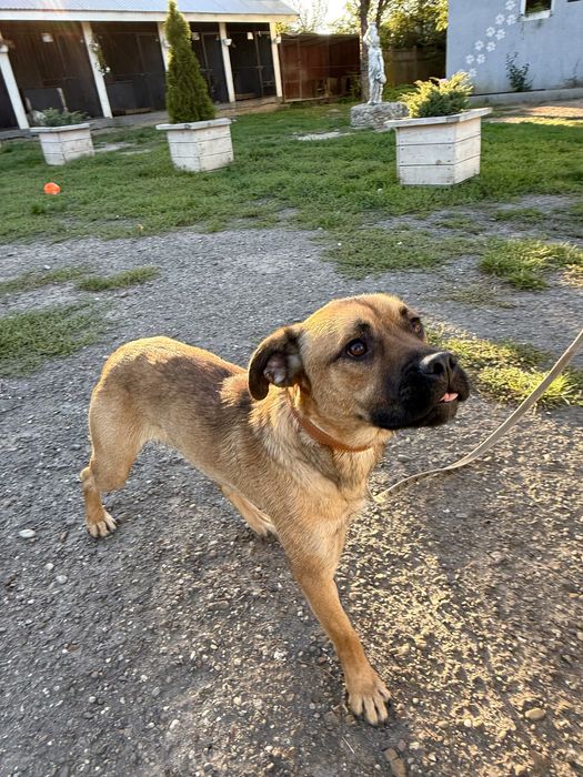 Шукаємо люблячу, відповідальну сімʼю! Хлопчик 1,5 роки