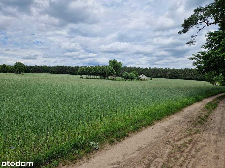 Działka budowlana 1300 m² w Rumunkach Tupadelskich
