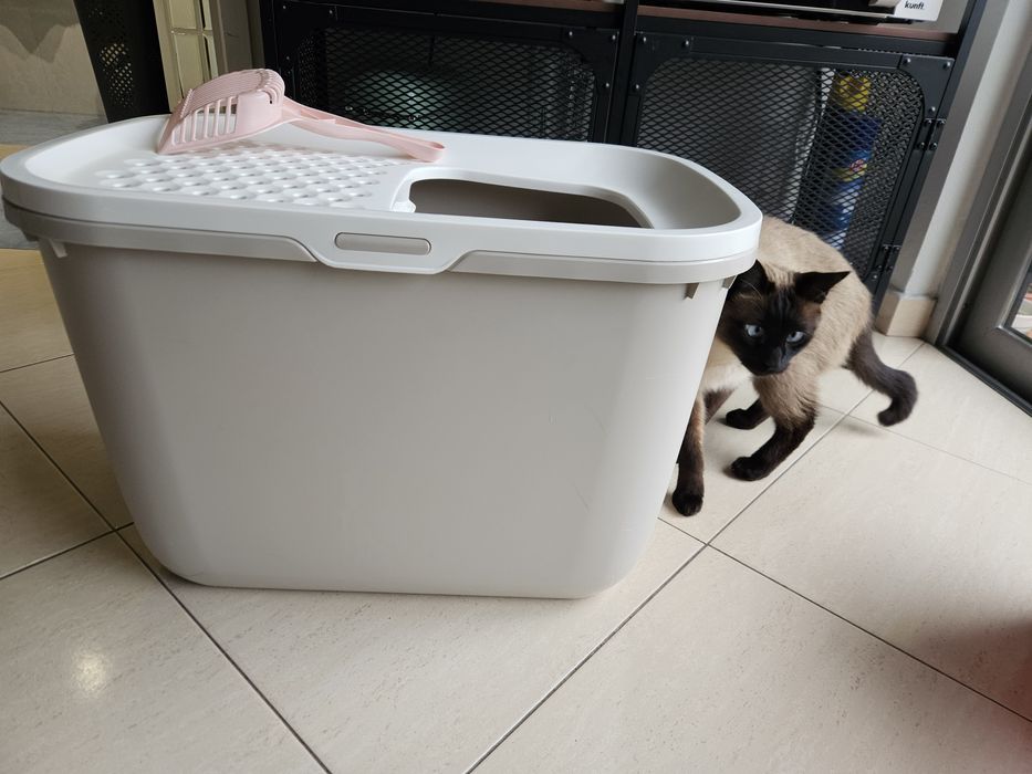Caixa de Areia de Gato Vertical XL