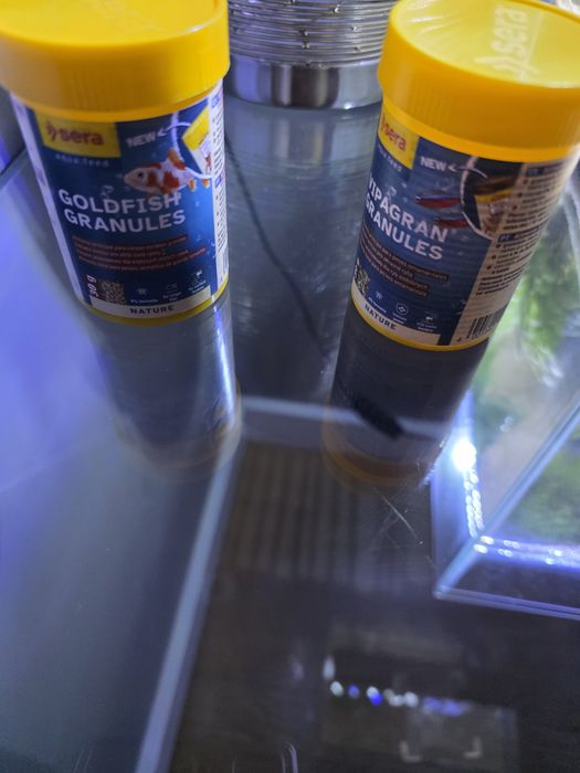 Vendo  aquário completo com 2 peixes