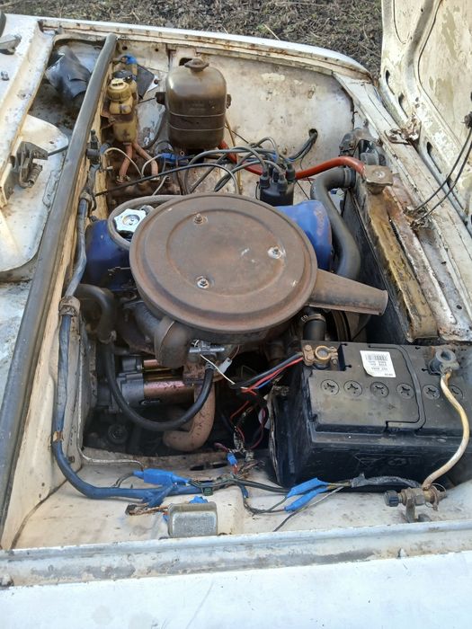 Продам заводиться йде трошки нада по у хаживать