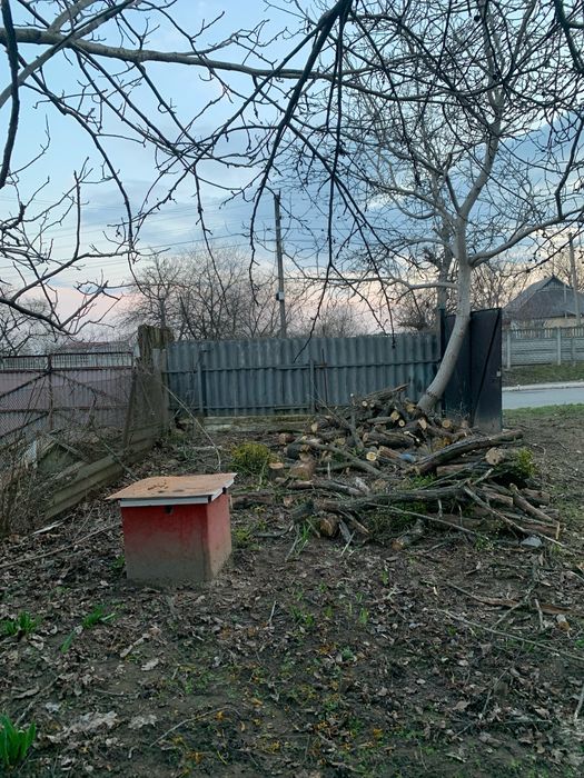 Вивіз сміття будівельного т. д. Покос трави, зрізання дерев. Демонтаж