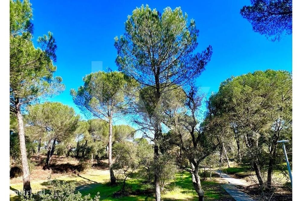 New Listing: Residential Plot in a Development Project