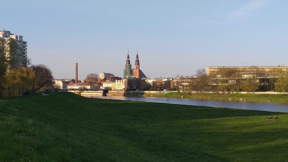 Mieszkanie do wynajecia