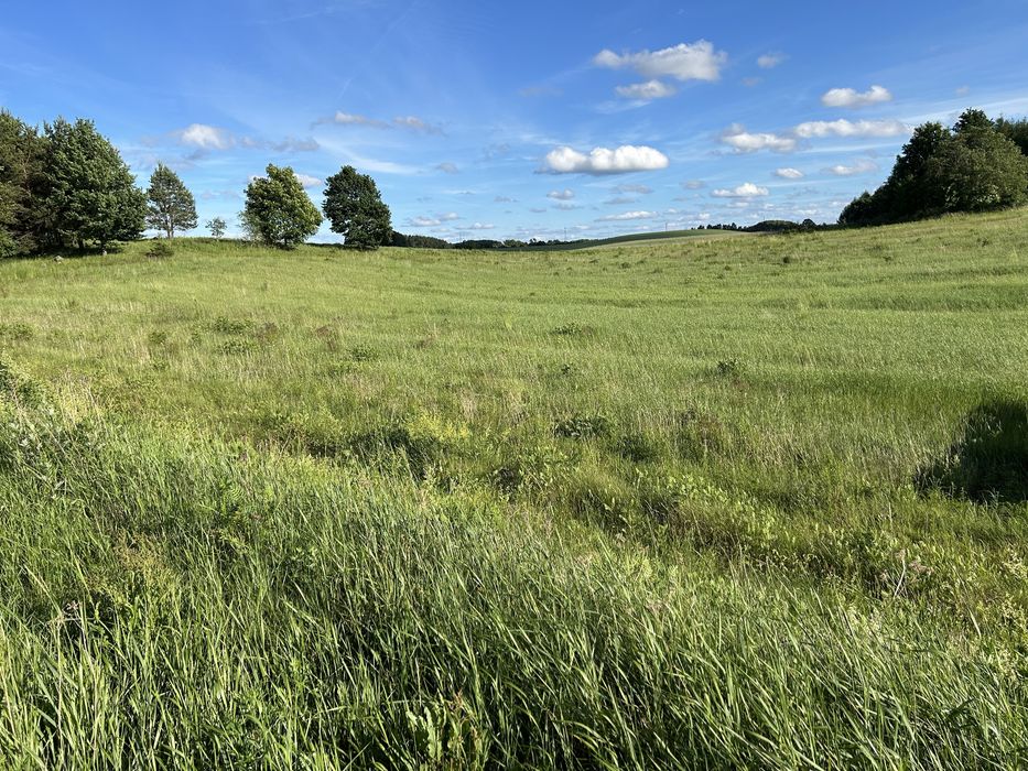Działka Tągowie gmina Tuchomie - Widok 3