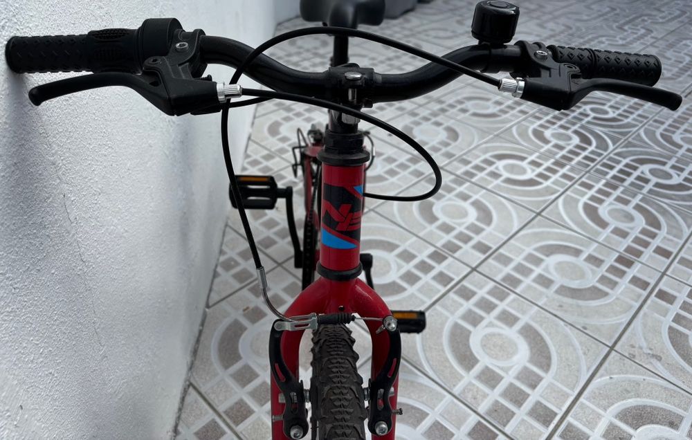 Bicicleta Infantil roda 20