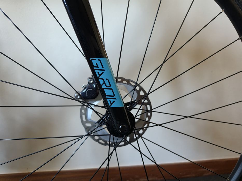 Bicicleta de Estrada - ​Wilier Triestina Garda Disc Carbono