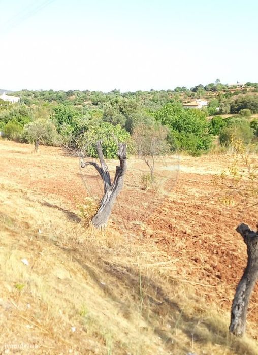 Terreno  para venda — Salir, Faro