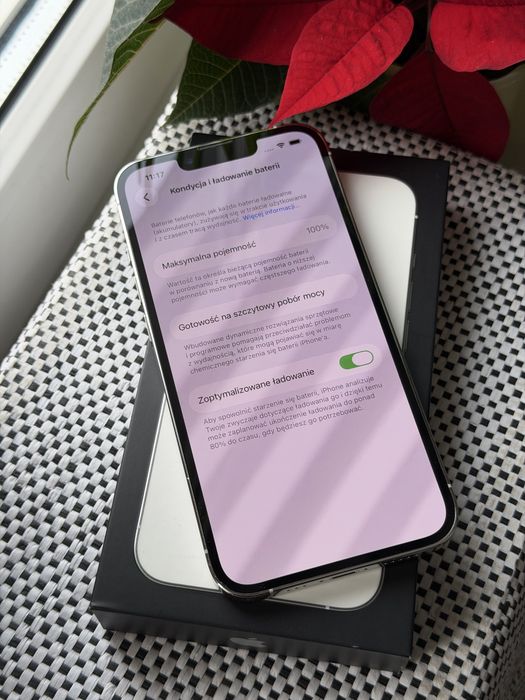 iPhone 13 Pro, bateria 100%, zadbany