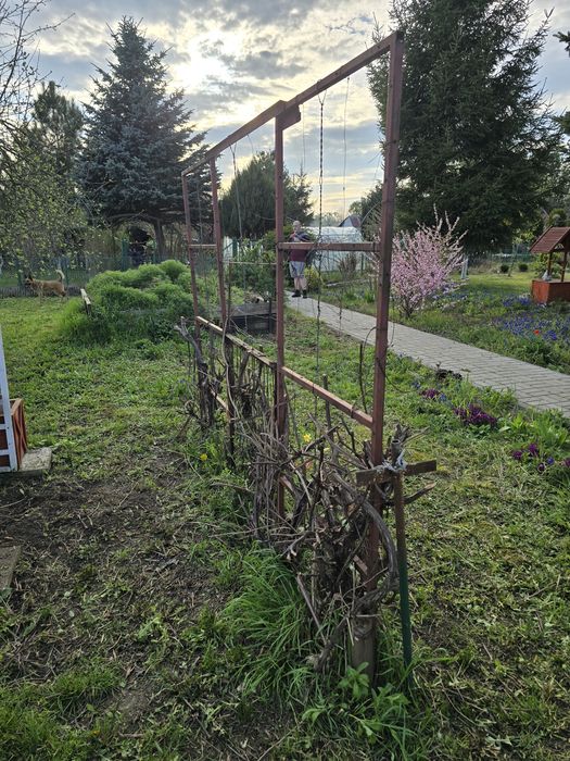 Sprzedaż działki ROD w Nysie