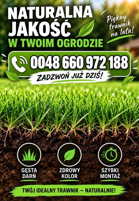 Trawnik w rolce  Premium - Doradzamy- Producent