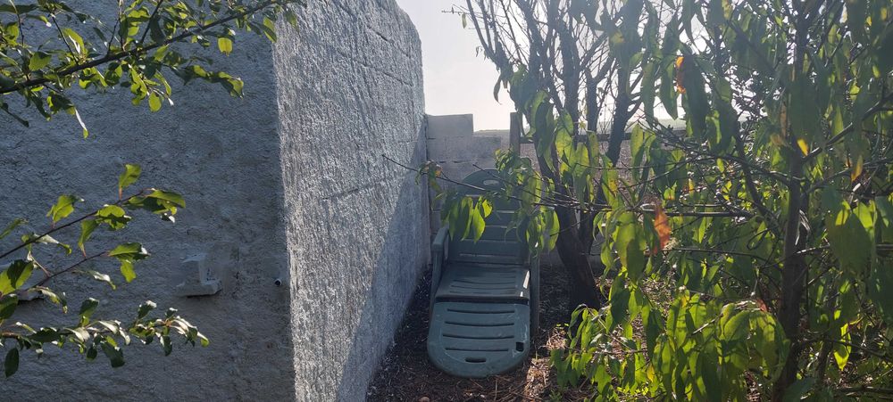 Horta com diversas árvores de fruto, armazéns e poço de água