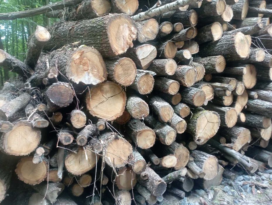 ПРОДАМ дрова Дуб колотий длина 33- 35 см
Середній покол.