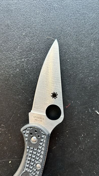 Spyderco Delica 4