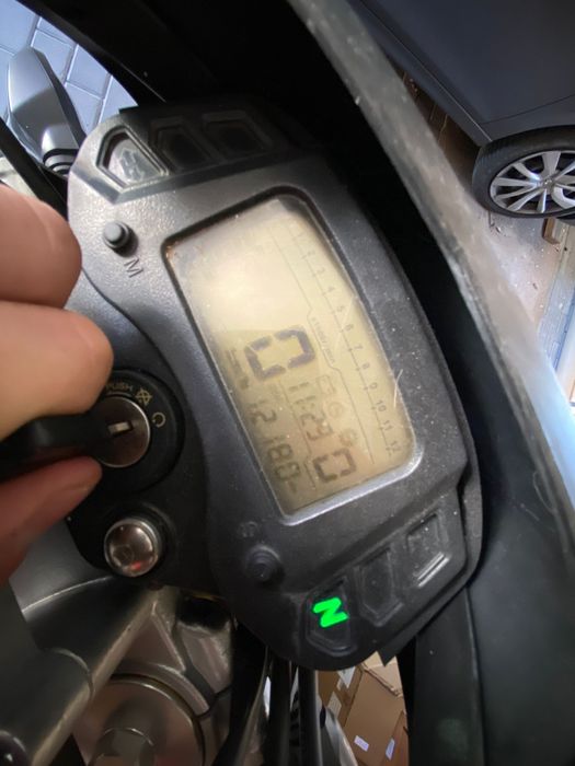 Online 125 Bestia 2021r.