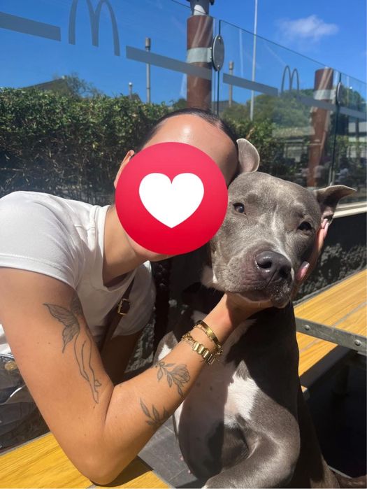 Adoção Responsável