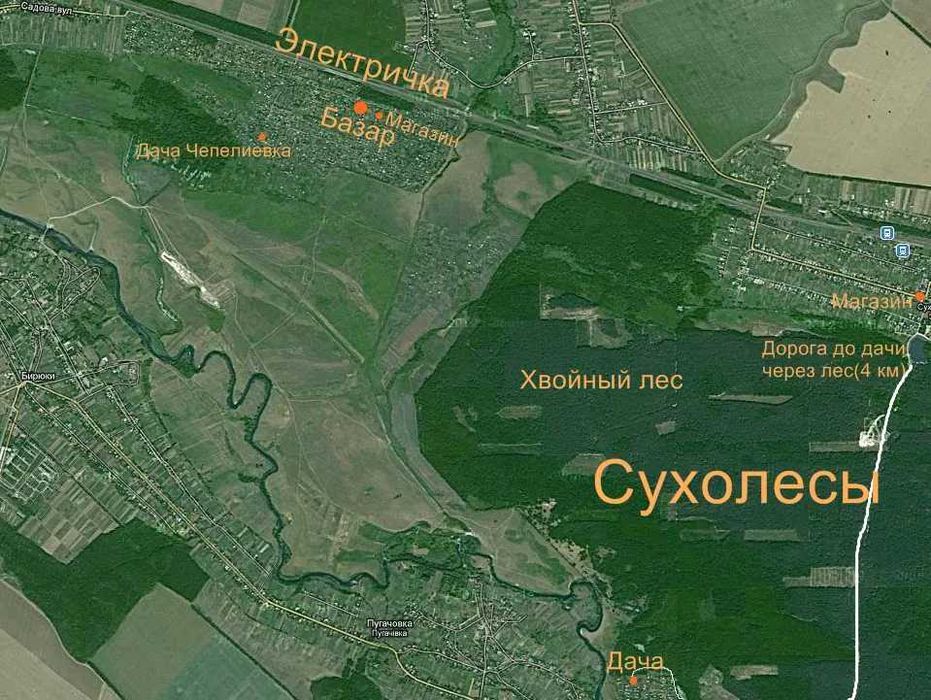 Дача на массиві сухолісських дач.