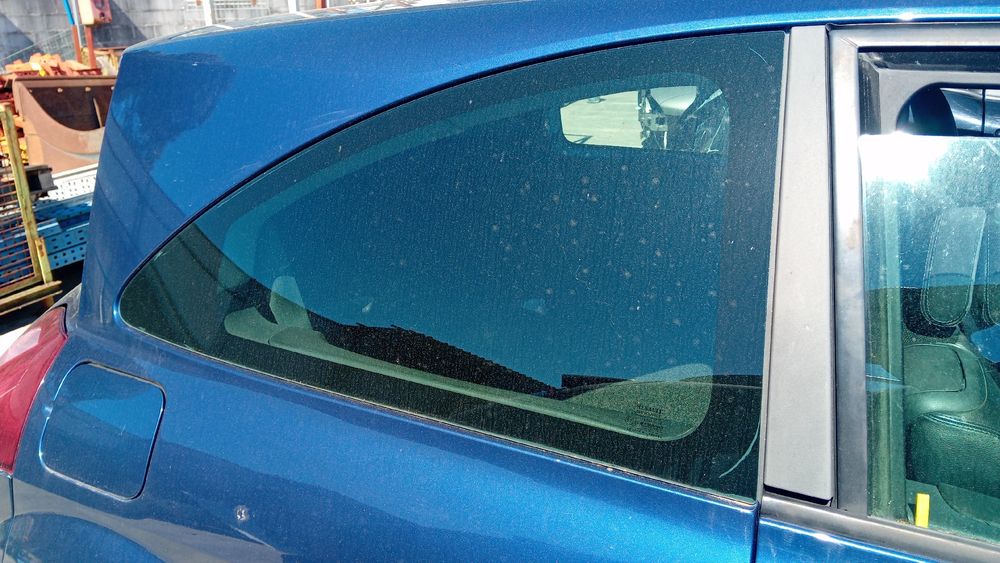 Vidro do painel trás direito RENAULT Megane II (BM0/1_, CM0/1_)