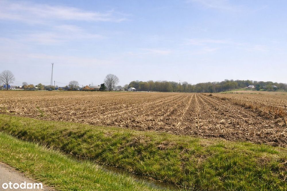14 ar* BUDOWLANE* Dostęp do drogi* CICHO* - Widok 3