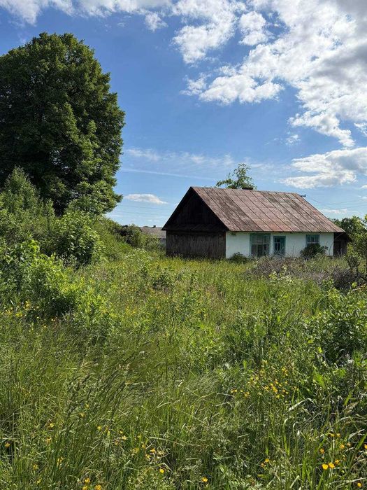 Продаж дерев'яного будинку