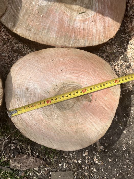 Sprzedam plastry drewna