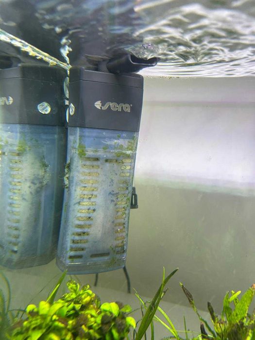 Aquário plantado 31 litros com acessórios