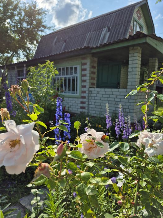 Дача в Деснянці с/т Ювілейне