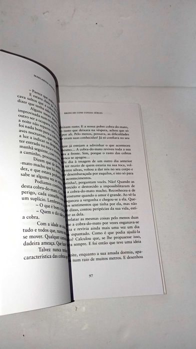 Brincar com coisas sérias - Margarida Fonseca Santos