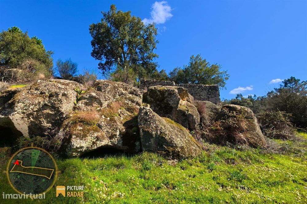 Terreno 1.1ha com Ruína e Vale Fértil | Cafede, Castelo Branco