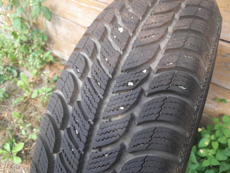 Dębica Frigo 2 165/70 R13