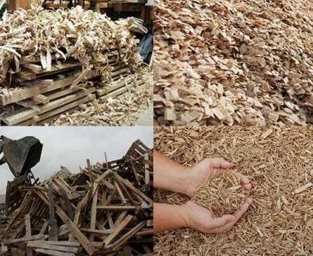 Візьму безкоштовно в дар гілки дерев та кущів з доставкою